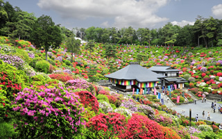 のどかな田園風景の東部地域スロードライブのイメージ