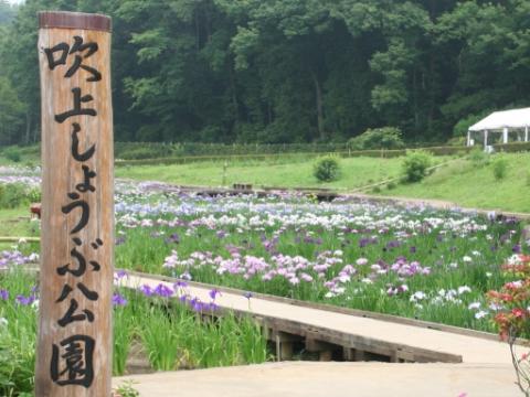 写真：吹上しょうぶ公園正面