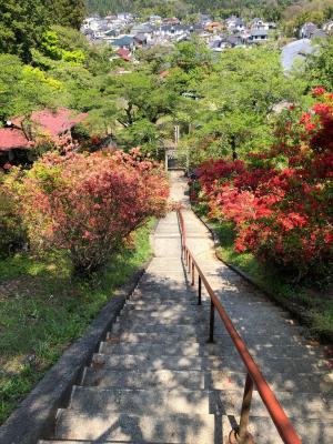 つつじに囲まれる愛宕神社の石段