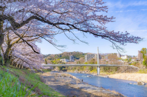 釜の淵公園