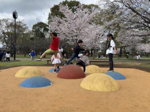 わかぐさ公園の遊具
