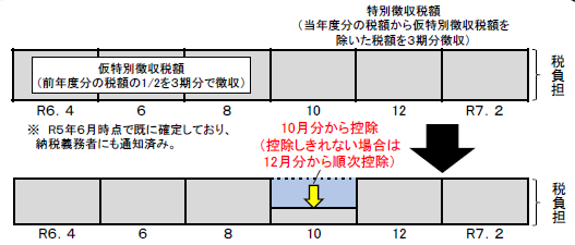 定額減税（年金特徴）