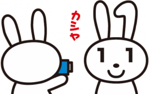 マイナ写真