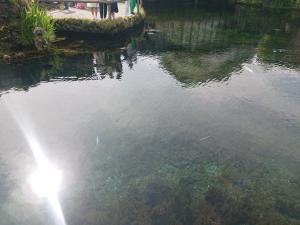 池
