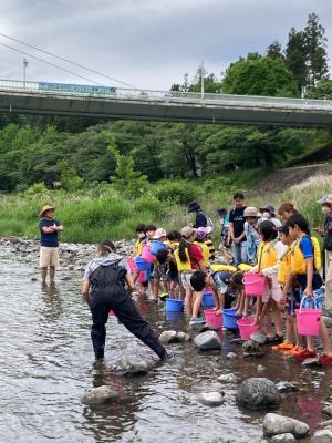 鮎を放流している様子