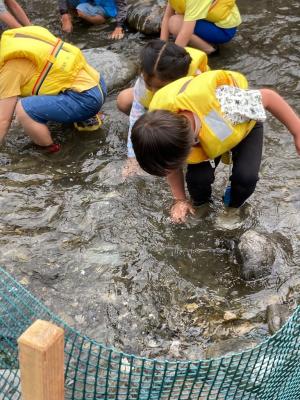 魚の掴み取りに挑戦している様子