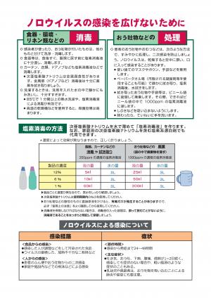 norouirusu2