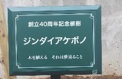 40周年記念植樹の画像2