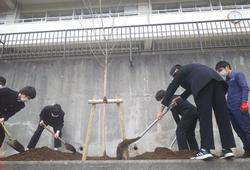 40周年記念植樹の画像3