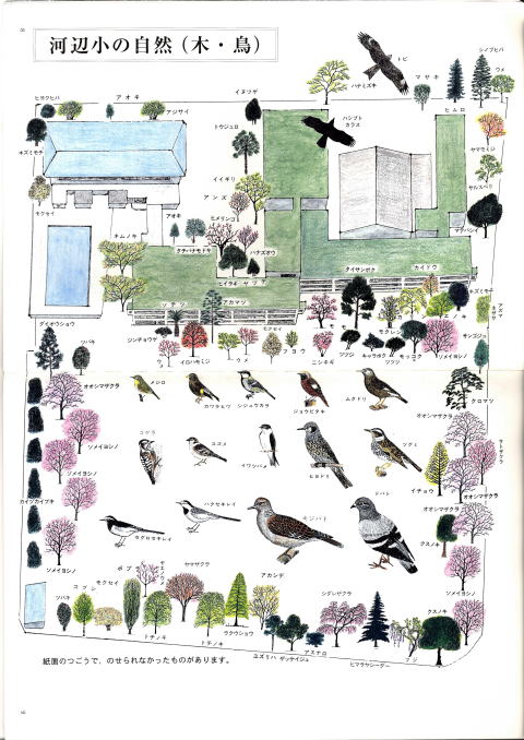 青梅市立河辺小学校の画像