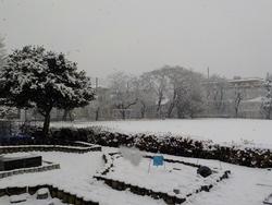 雪の画像2