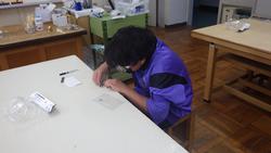 作品展の画像2