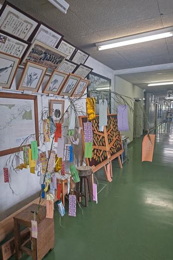 7月7日「七夕」の画像1