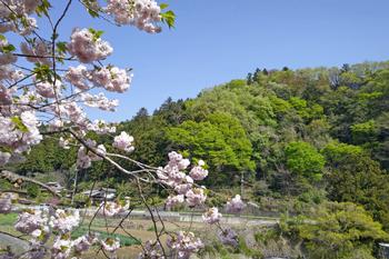 グランドデザインの画像