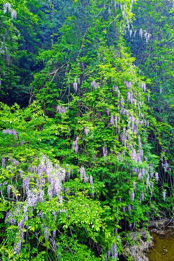 「第七中学校」の画像