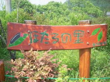 ホタルの里の画像1