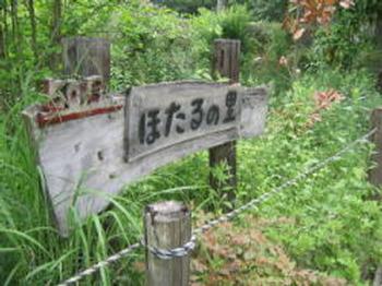 ホタルの里の画像2