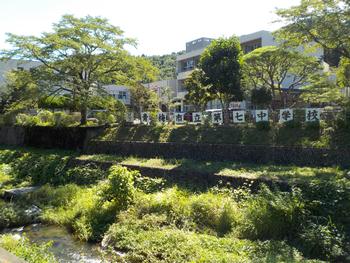  緑豊かな七中の画像