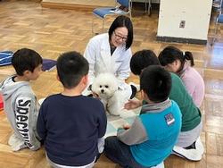 獣医師の石川先生来校の画像2