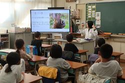 獣医さんとの交流授業の画像1
