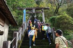 2年生　生活科たんけんの画像2