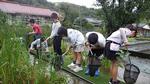主な学校行事の画像12
