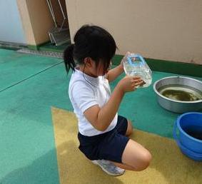 ヤゴ救出作戦(2,3年生)の画像2