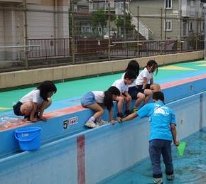 ヤゴ救出作戦(2,3年生)の画像4