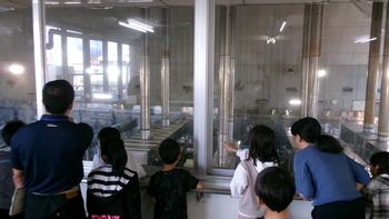 社会科見学（3年生）の画像1