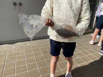 サツマイモ持って帰りますの画像4