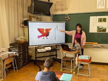 これは何でしょうか？の画像7