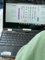 春3連弾の画像3