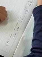 春3連弾の画像4