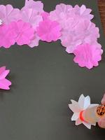 春3連弾の画像11