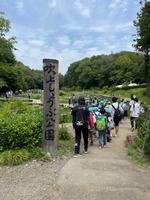 吹上菖蒲園の画像1