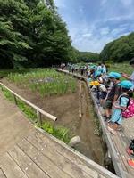 吹上菖蒲園の画像2