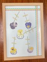 校長日記　6月10日（月曜日）の画像