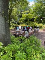 校長日記　6月4日（火曜日）の画像4