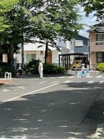 校長日記　6月4日（火曜日）の画像5