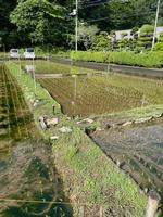 校長日記　6月3日（月曜日）の画像2