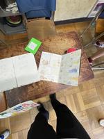 校長日記　7月18日（木曜日）の画像7