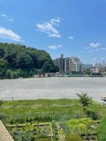 校長日記　7月4日（木曜日）の画像1