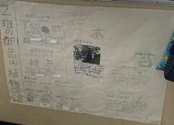 校長日記　7月4日（木曜日）の画像18