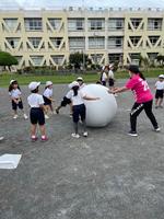 運動会の画像4