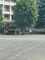 避難訓練の画像7