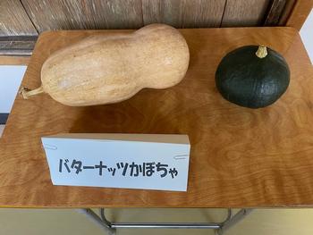 バターナッツかぼちゃの画像 