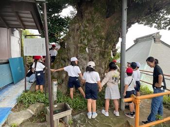 3年2組さんと一緒に学校の北側、師岡神社に出かけましたの画像1