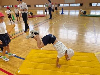  ​特別授業　「マット遊びで伝説の忍者になろう！！」の画像7