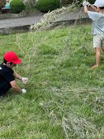 芝生の前には３年生の子供たちとたくさんの竹の画像1