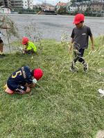 芝生の前には３年生の子供たちとたくさんの竹の画像3